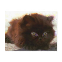 Black Persian Kitten postcard