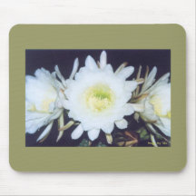 Black Phoebe Blooms mousepad