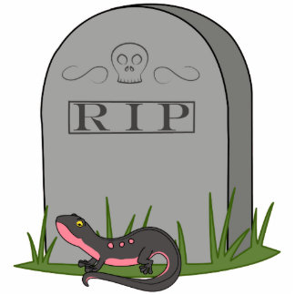 black_pink_newt_with_rip_grave_stone_pho