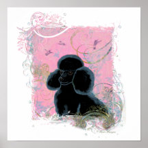 Black Poodle Hummingbirds Swirls Art Invitation Posters