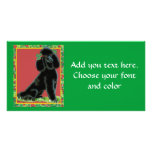 Black Poodle n Holly Christmas Holiday Photo Card