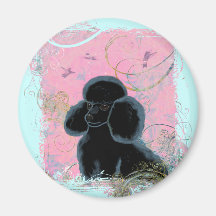 Black Poodle Portrait with Hummingbird. Fridge Magnet