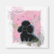 Black Poodle Portrait with Hummingbirds Magnet