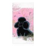 Black Poodle Portrait with Hummingbirds Photo Card