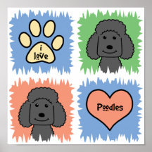 Black Poodle Poster