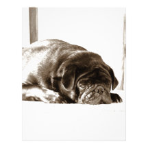 Black Pug Custom Letterhead