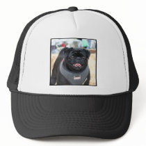 Black Pug Dog Hat