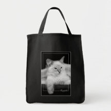 black ragdoll kitten bag