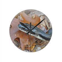 Black Rat Snake - Elaphe obsoleta obsoleta Wallclock