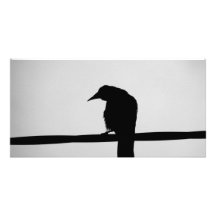 black raven personalized photo card