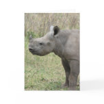 Black Rhino Baby Card