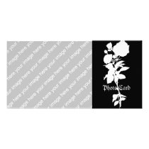 Black Rose Silhouette