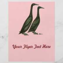 Black Runner Ducks Personalized Flyer
