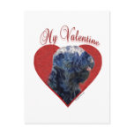 Black Russian Terrier My Valentine Post Card