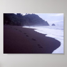 Black Sand Beach Posters