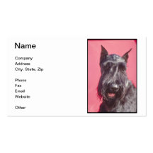 Black Scottish Terrier Business Cards
