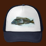 Black Sea Bass hats