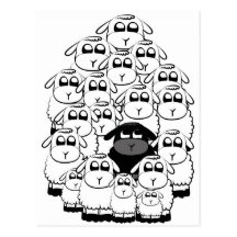 Black sheep post cards
