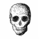 Black Skull. Photo Sculpture