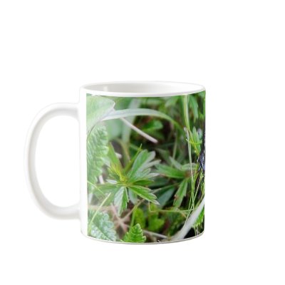 Black Slug In Grass Mug by lifesphere