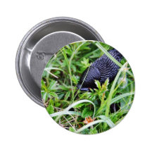 Black Slug In Grass Pin