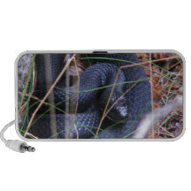 Black snake portable speakers