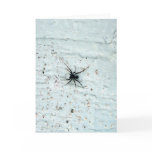 Black Spider Greeting Card