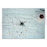Black Spider Greeting Card