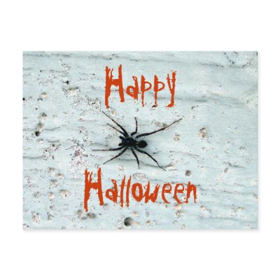 Black Spider Postcard by CreatureCreations