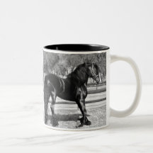 Black stallion horse mugs