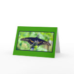 Black Swallow Tail Stare -Card