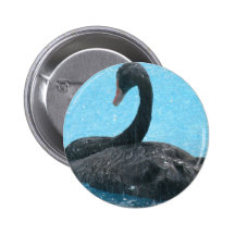 Black Swan Button