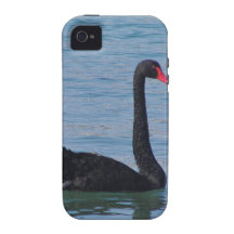 Black Swan iPhone 4/4S Cases