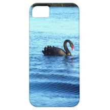 Black swan Iphone 5 case