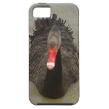 Black Swan iPhone 5 Case