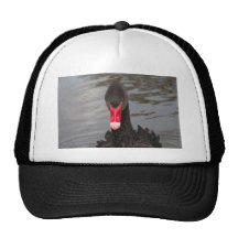 Black Swan Mesh Hats