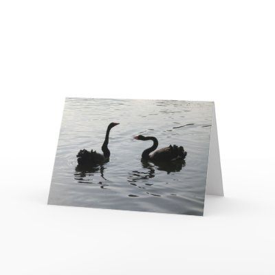 Black Swans Greeting Card by artberry