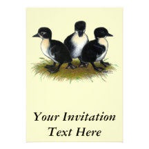 Black Swedish Ducklings Invitation