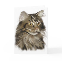 Black Tabby Maine Coon Cat Card