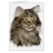 Black Tabby Maine Coon Cat Card