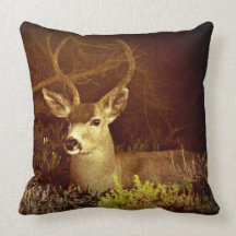 Black Tail Buck Pillow