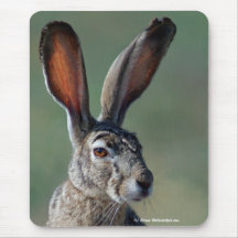 Black-tailed Jackrabbit Mousepad