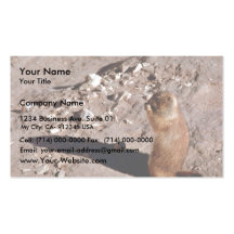 Black-tailed prairie dog standing business card
