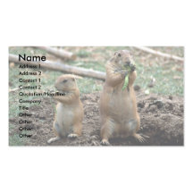 Black-tailed prairie dogs, Sonoran Desert Museum, Business Card