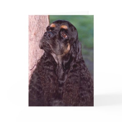 Black & tan Champion Cocker Spaniel greeting card by MartinisMommy