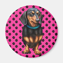 Black & Tan Doxy Refrigerator Magnets