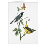 Black-throated Blue Warbler, John Audubon Card