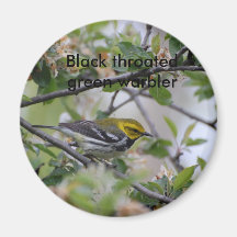 Black throated green warbler magnet
