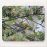 Black throated green warbler mousepad