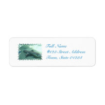 Black Tipped Shark  Mailing Labels